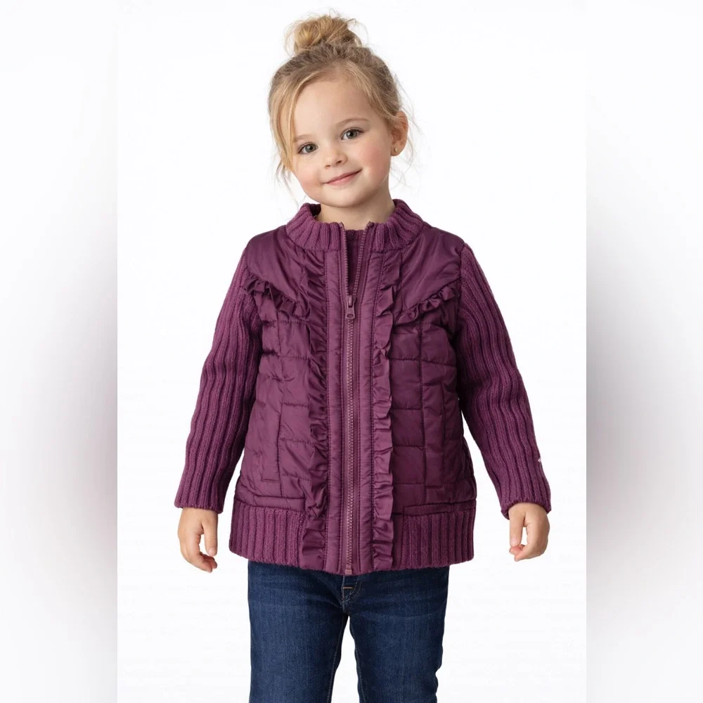 Green Dog Purple  Jacket with Sweater Sleeves. Great condition. Size 18 months